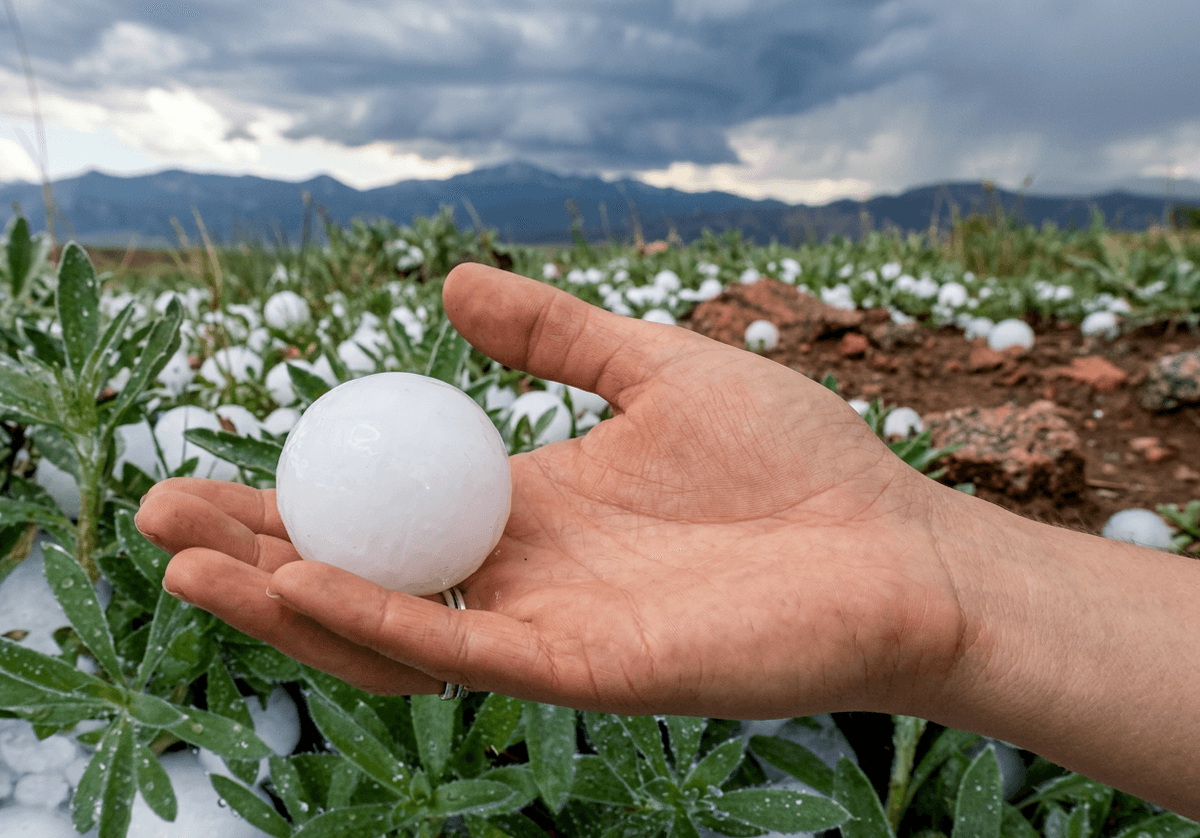 Visual ROI Illustration