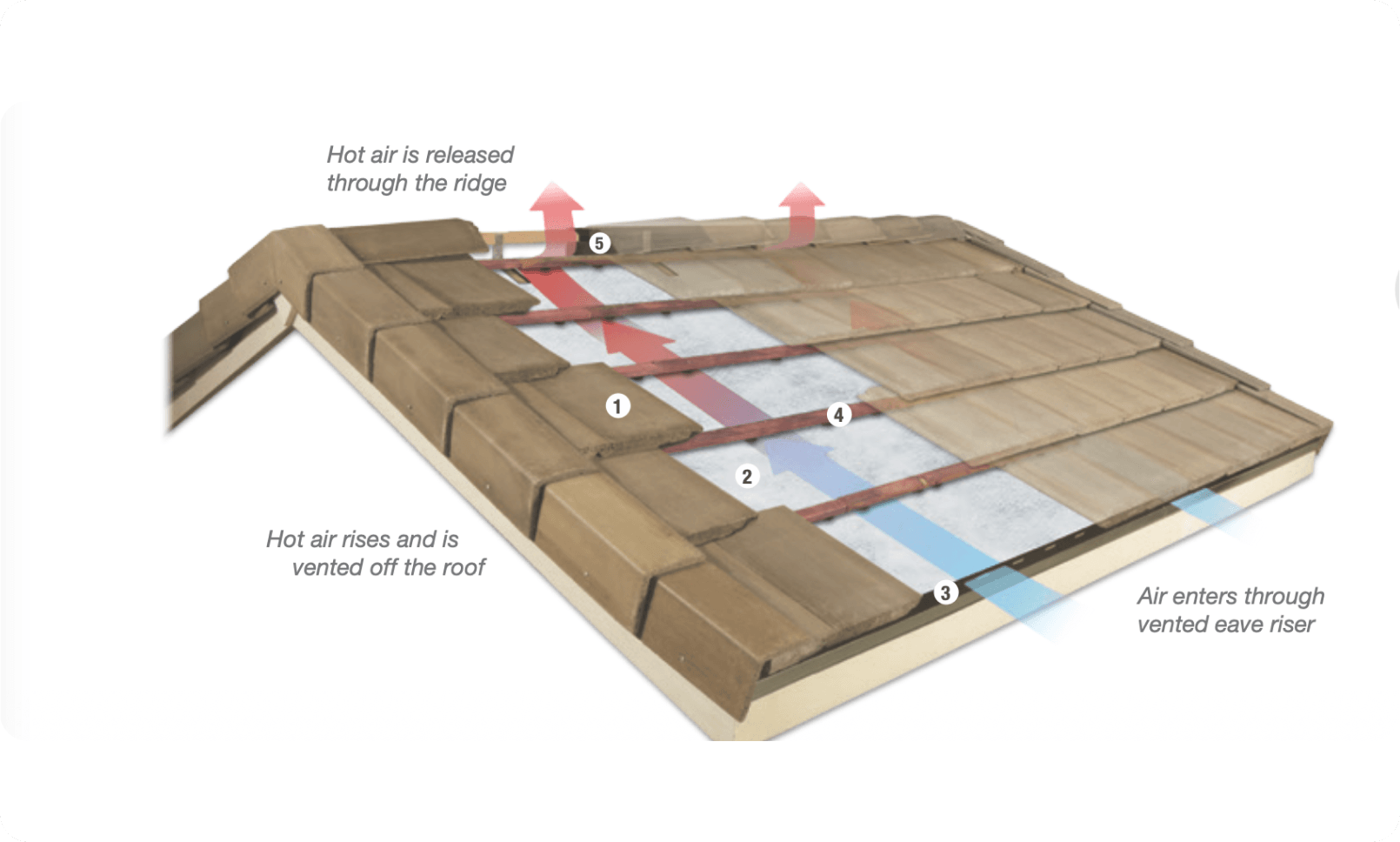Visual ROI Illustration